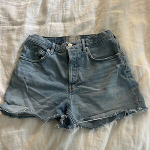 Everlane shorts